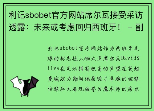 利记sbobet官方网站席尔瓦接受采访透露：未来或考虑回归西班牙！ - 副本